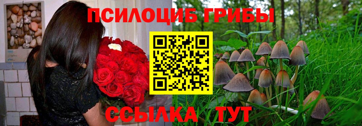 Галлюциногенные грибы мухоморы Кингисепп