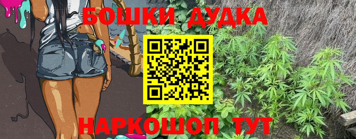 Бошки марихуана планчик Кингисепп